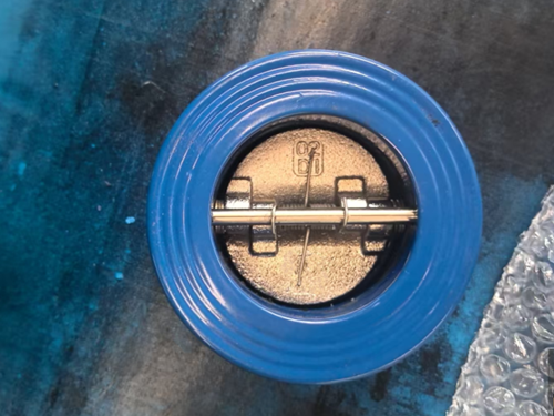 对夹式止回阀电镀板